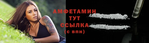 сатива Козловка