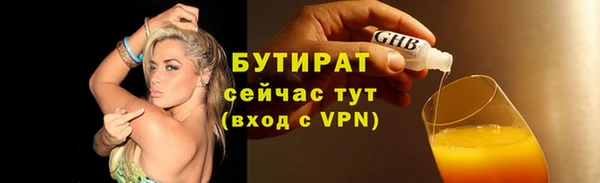 сатива Козловка