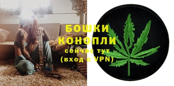 сатива Козловка