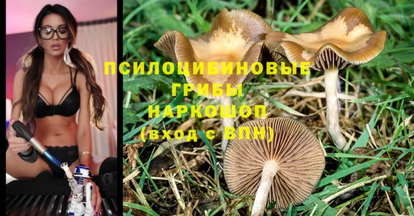 кокаин премиум Козельск