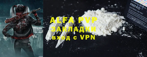 сатива Козловка