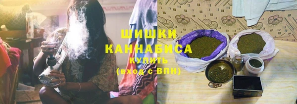 соль ск Кодинск