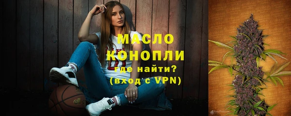 сатива Козловка