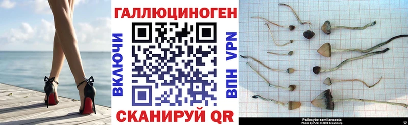 Псилоцибиновые грибы MAGIC MUSHROOMS  Купить  Пойковский 